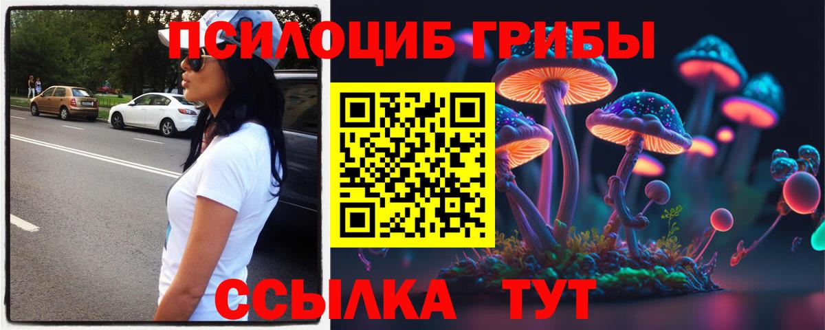 Железноводск  купить закладку  Вход с VPN  Галлюциногенные грибы прущие грибы 