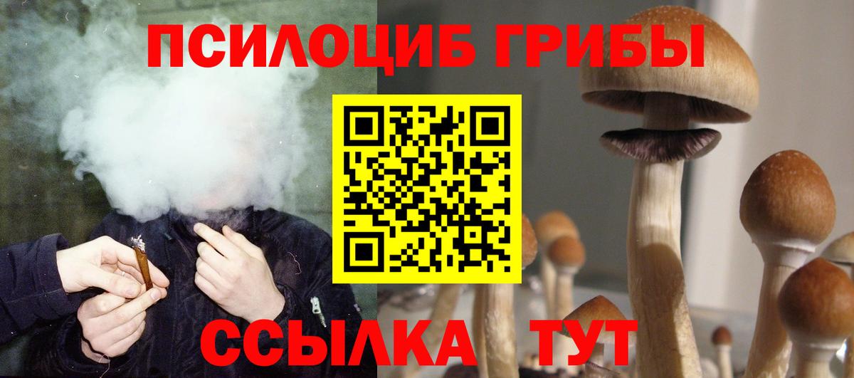 Псилоцибиновые грибы MAGIC MUSHROOMS Железноводск